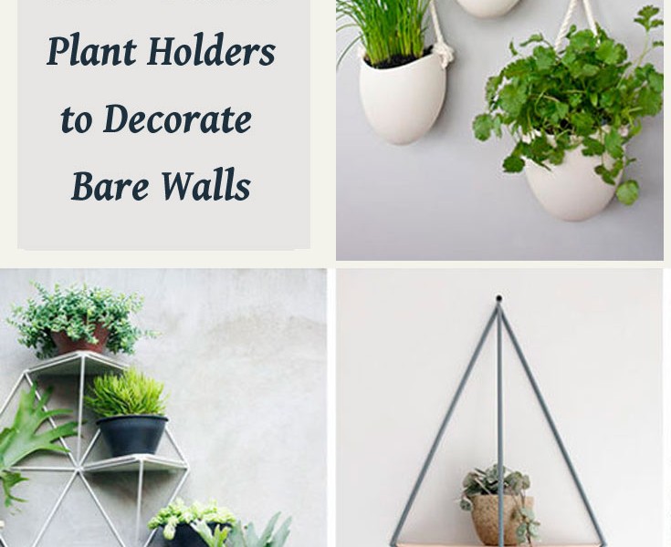 kitchen wall plant holders