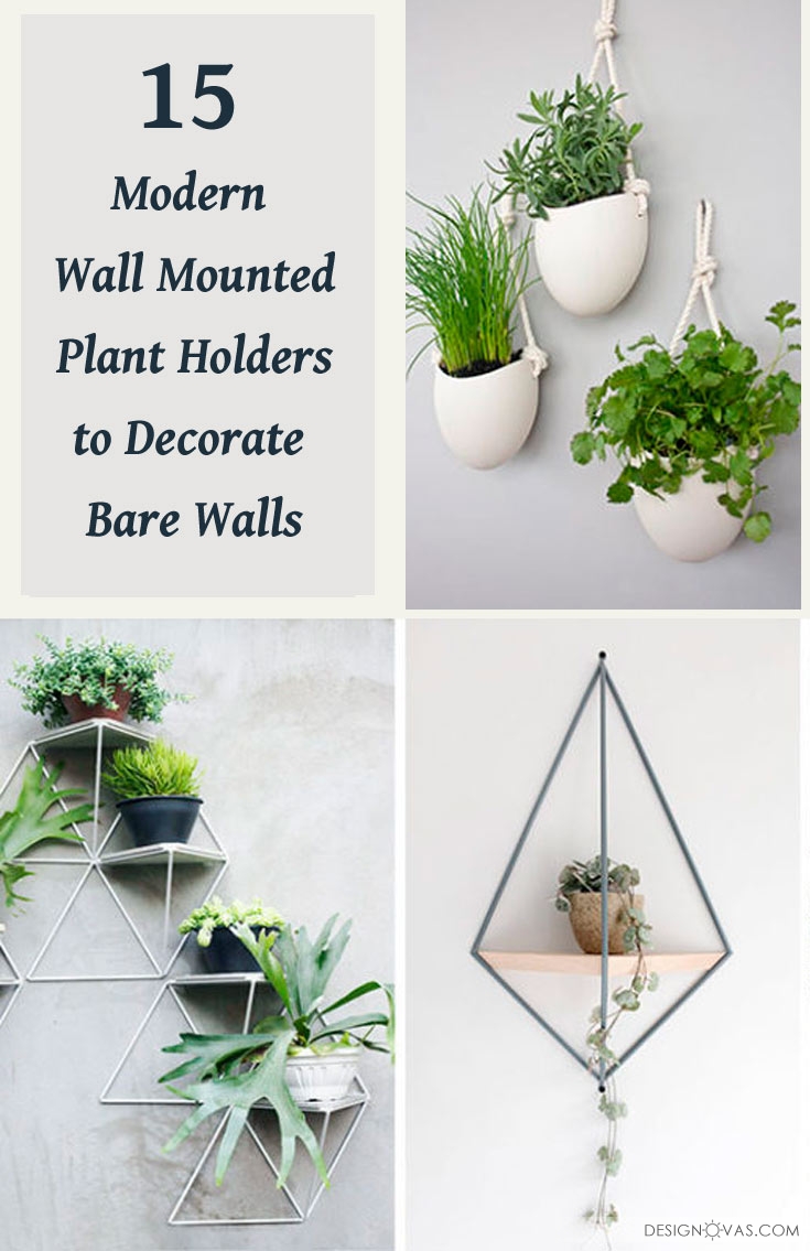wall mounted plant holders