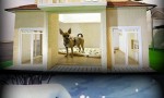 nice houses for dogs