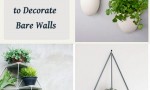 wall mounted plant holders